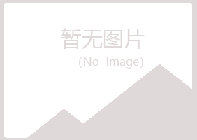 岑溪女孩能源有限公司